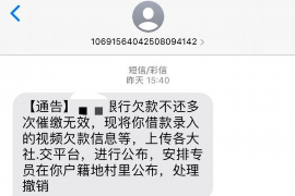 宜城宜城的要账公司在催收过程中的策略和技巧有哪些？